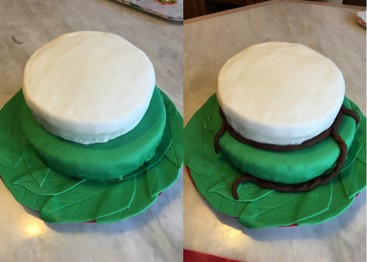 LDDA_Gateau_Anniversaire_Rainforest_Grenouille_Cakedesign_07