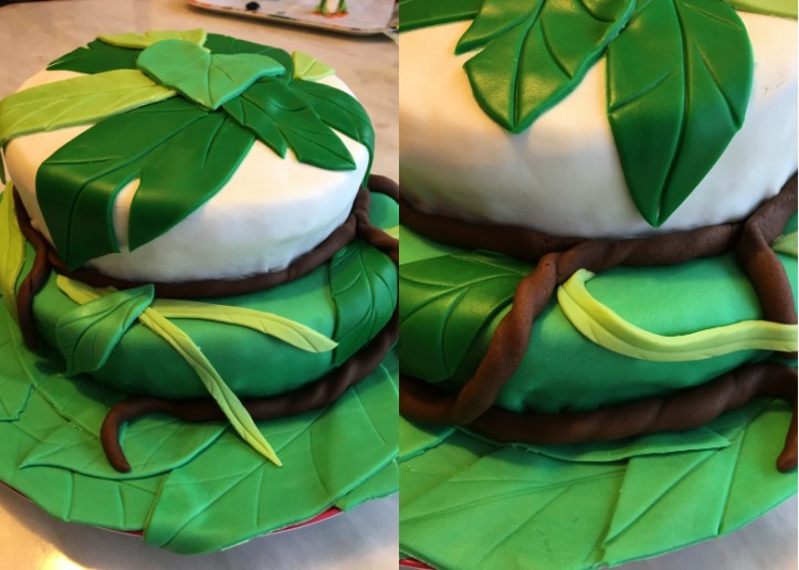 LDDA_Gateau_Anniversaire_Rainforest_Grenouille_Cakedesign_09