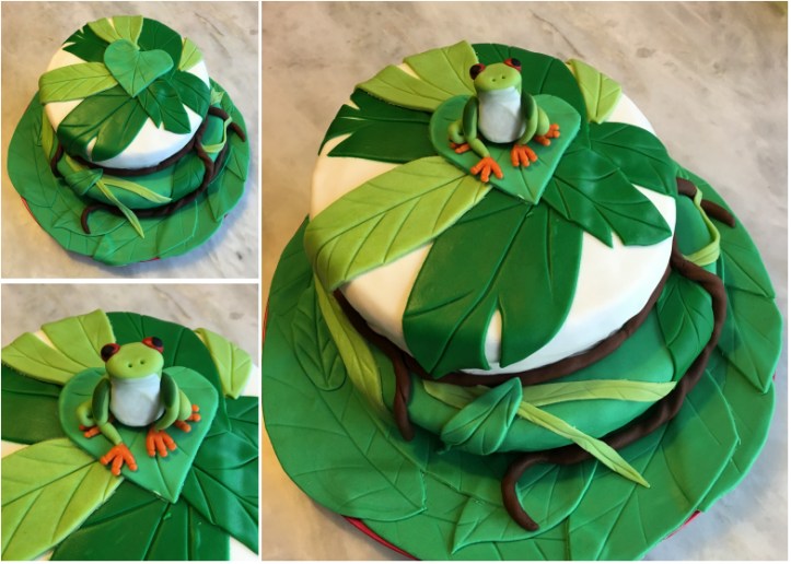 LDDA_Gateau_Anniversaire_Rainforest_Grenouille_Cakedesign_10