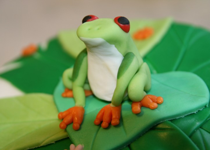 LDDA_Gateau_Anniversaire_Rainforest_Grenouille_Cakedesign_11