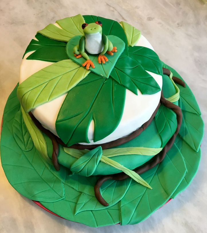 LDDA_Gateau_Anniversaire_Rainforest_Grenouille_Cakedesign_FINAL