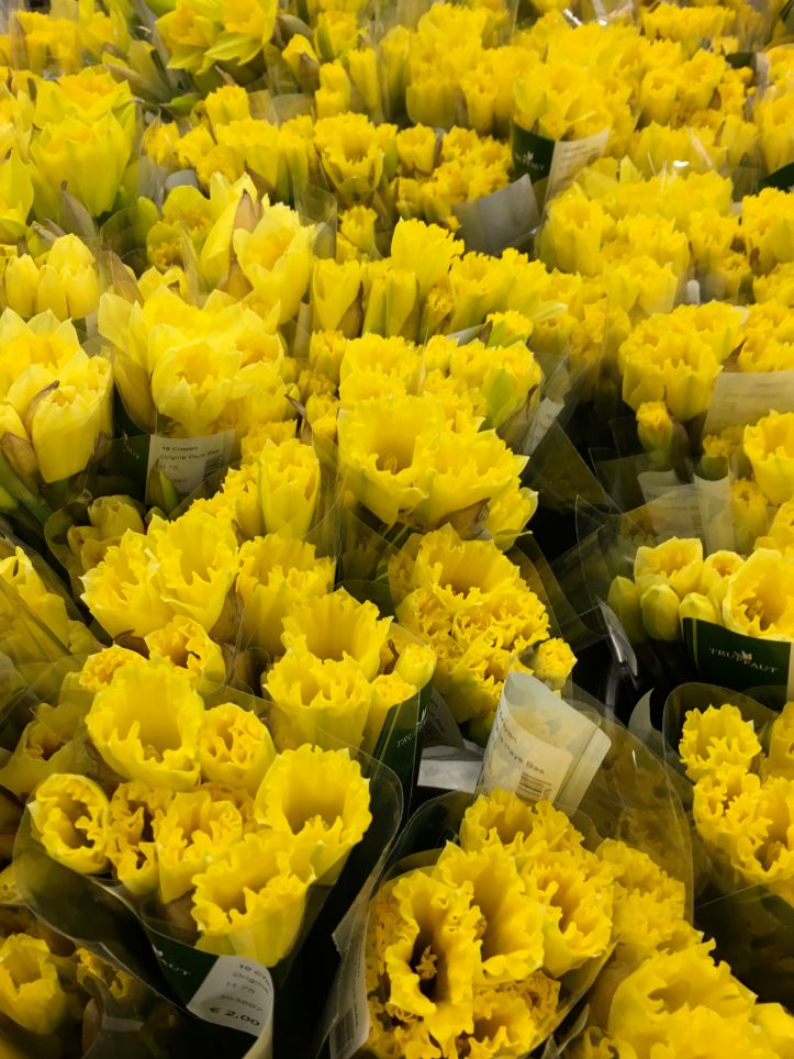 LDDA_Evenement_UneJonquillePourCurie