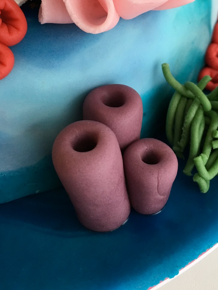 LDDA_Gateau_Anniversaire_CoralReef_Violet_02