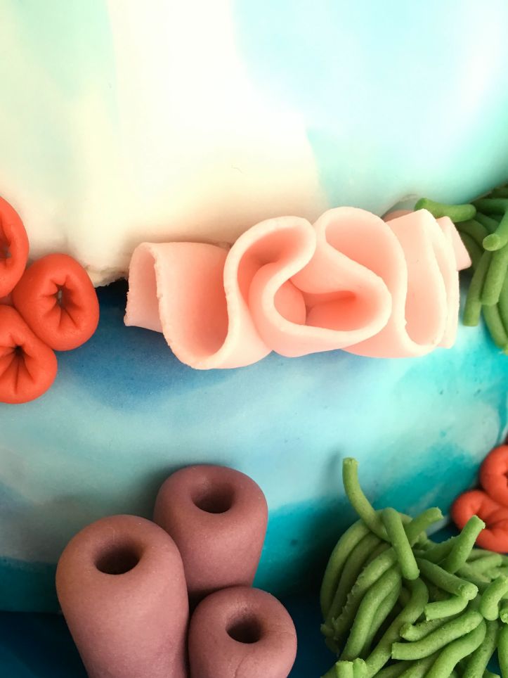 LDDA_Gateau_Anniversaire_CoralReef_Corail_Rose