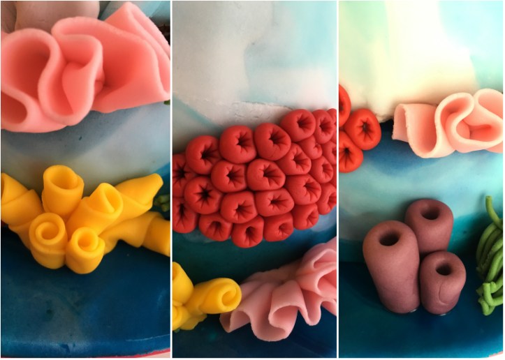 LDDA_Gateau_Anniversaire_CoralReef_Décorations