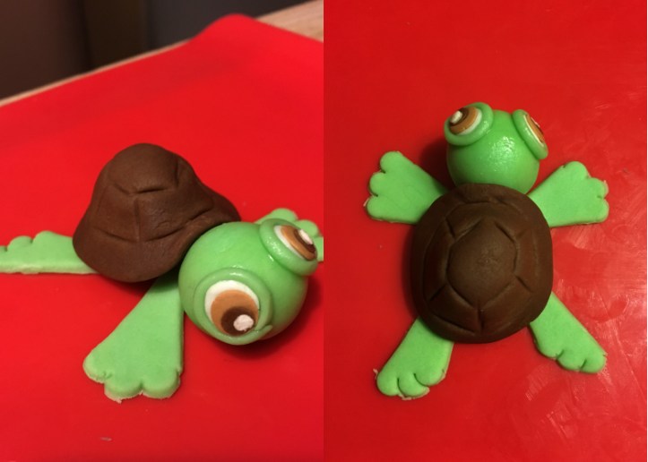 LDDA_Gateau_Anniversaire_CoralReef_Tortues