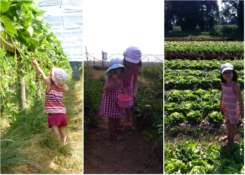 LDDA_Legumes_enfants_01