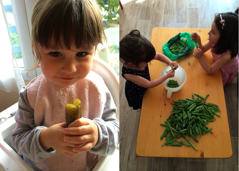 LDDA_Legumes_enfants_04