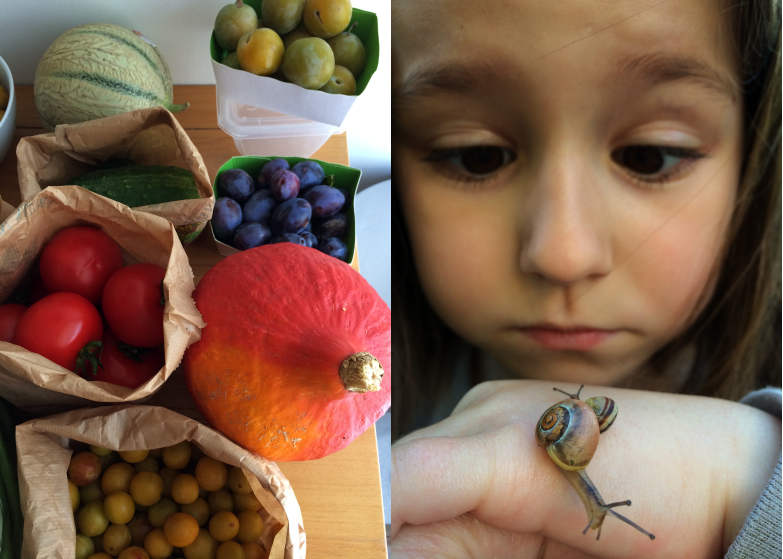 LDDA_Legumes_enfants_05