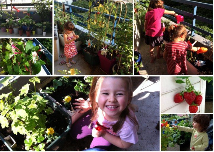 LDDA_Notre_Petit_coin_de_verdure