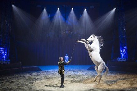 ldda_spectacle_alexis-gruss_quintessence2016_karim-el-dib