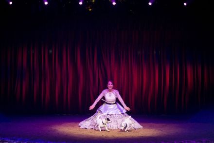 ldda_spectacle_alexis-gruss_quintessence2016_chien_karim-el-dib