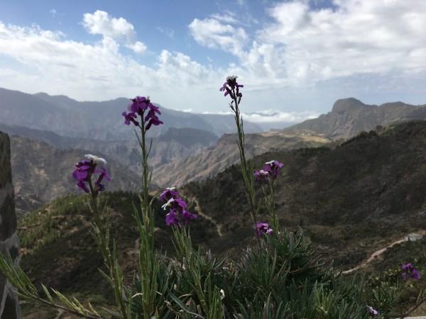 ldda_canaries_centre_artenara_panorama