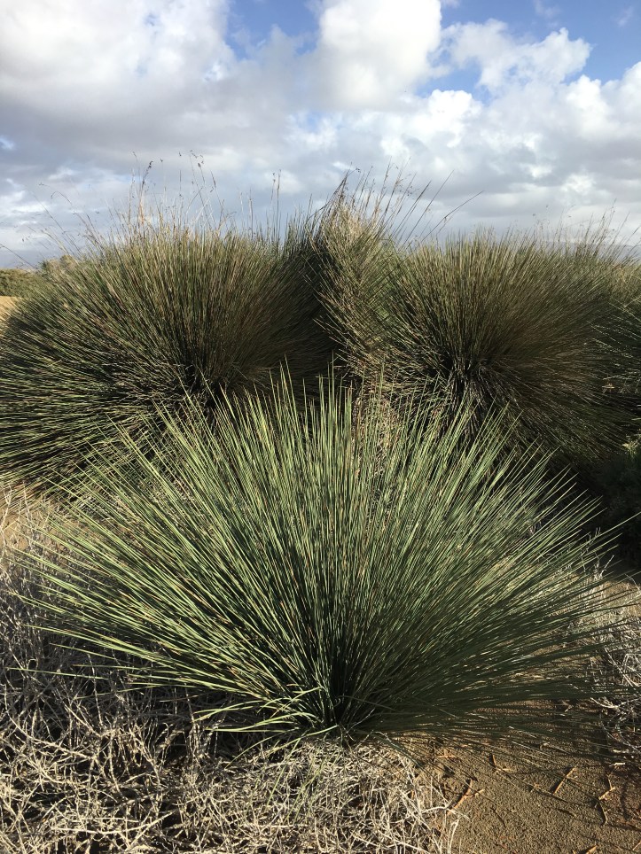 ldda_canaries_dunes_maspalomas_02