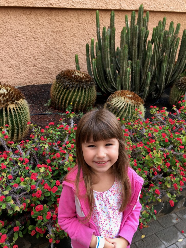 ldda_canaries_jardin_tropical