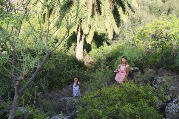 ldda_canaries_nord_jardin_botanique_03