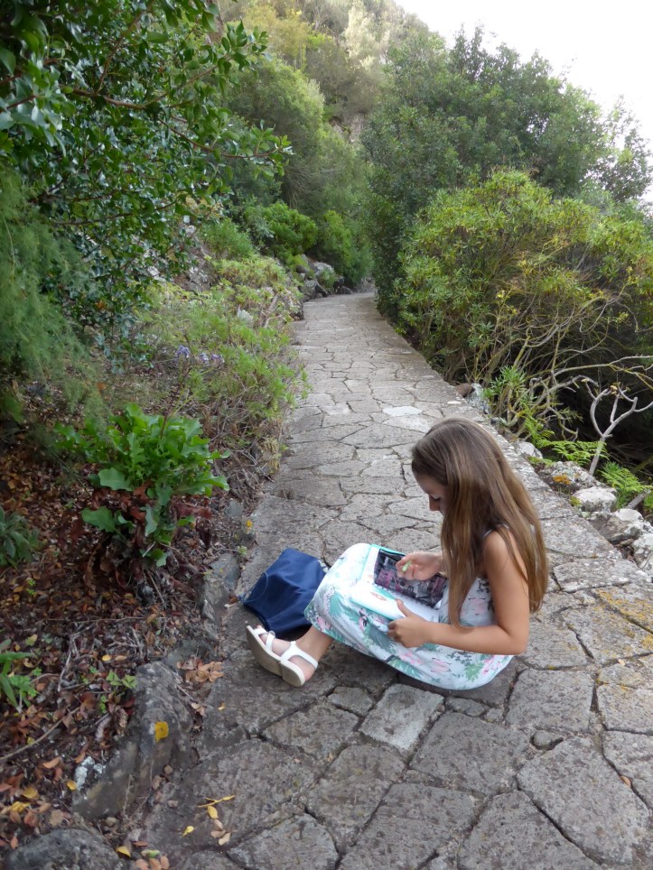 ldda_canaries_nord_jardin_botanique_artiste1