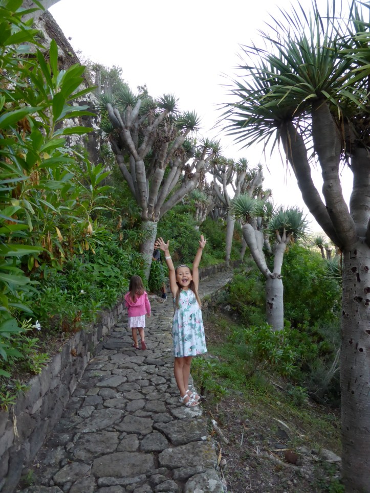 ldda_canaries_nord_jardin_botanique_dragons1