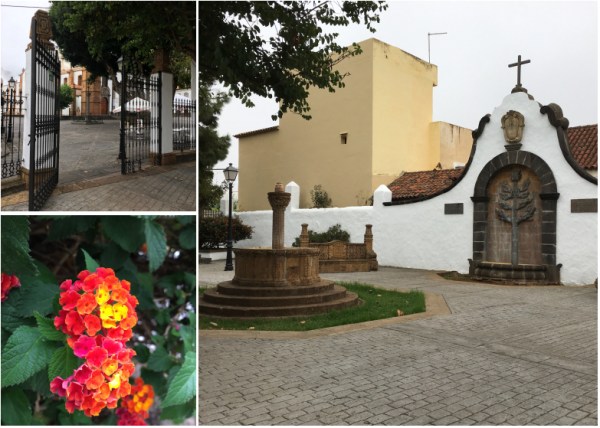 ldda_canaries_nord_teror_jardin