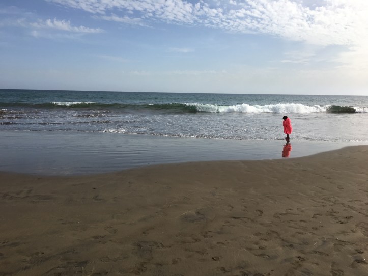 ldda_canaries_playa_san_agustin