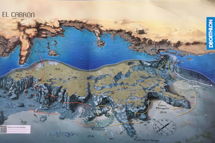 ldda_canaries_plongee_el_cabron