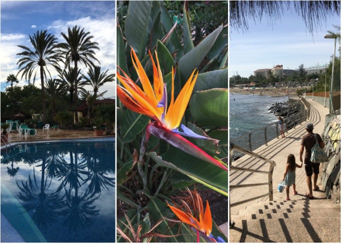 ldda_canaries_premiere_partie