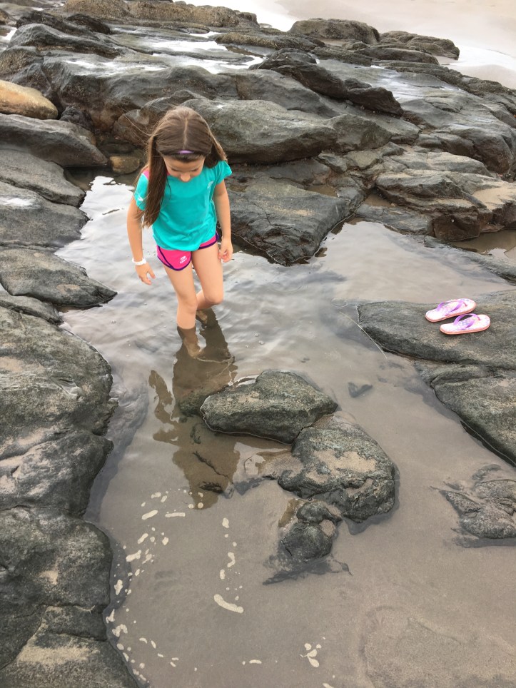 ldda_canaries_rochers