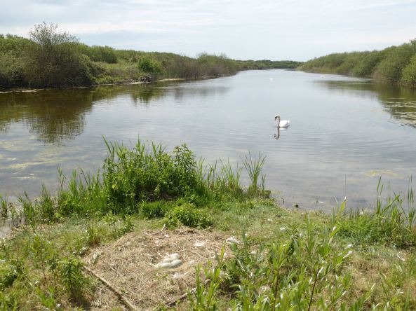 LDDA_Escapade_Parc du marquenterre_11 - 1.jpg